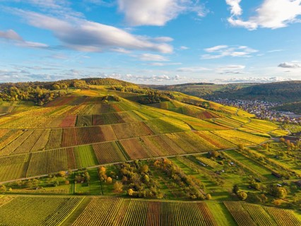 Hilly fields with colorful vineyards under a wide sky, autumn, near Strümpfelbach im Remstal,
