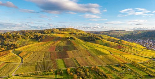 Extensive landscape with colorful vineyards under blue sky, autumn, near Strümpfelbach im Remstal,