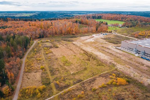 Extensive meadows and autumn forest on a country road, peaceful landscape, new Lindenrain