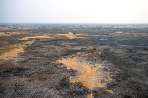 Dry season, structure and pattern of trails, burnt landscape, aerial view of the Okavango Delta,