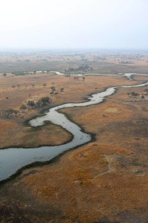 Wetland, landscape, aerial view of the Okavango Delta, near Maun, Okavango Delta, Botswana