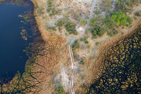 Road through marshland, landscape, aerial view of the Okavango Delta, near Maun, Okavango Delta,