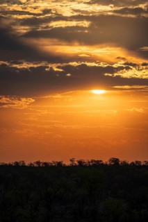 Impressive sunset over the African savanna, silhouette of the horizon with trees in front of the