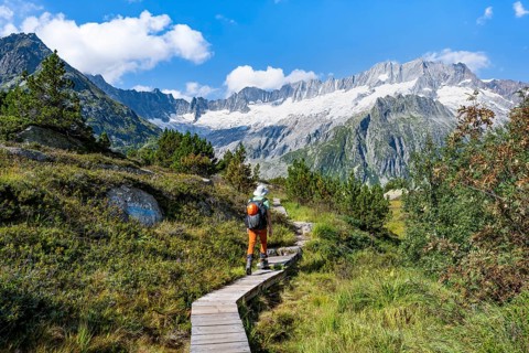 Mountaineers on wooden plank trail through mountain moor, in front of picturesque mountain scenery,