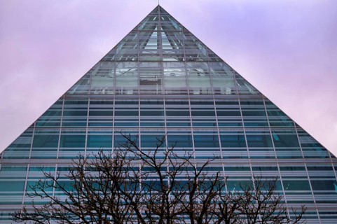 Tree, bare, behind a glass pyramid of the Central Library, City Library, Old Town, Ulm, wintery,