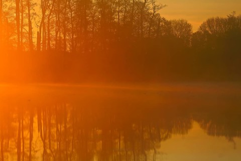 Warm orange sunset light reflected in the lake near trees, Peenetal nature park Park,