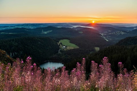 View from Feldberg to Feldsee looking east, sunrise, Black Forest, Southern Black Forest,