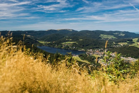 Titisee, Black Forest, Southern Black Forest, Baden-Württemberg, Germany
