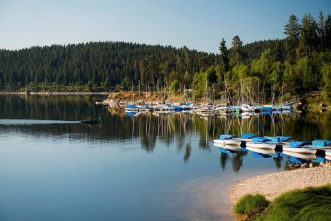 Morning atmosphere with colorful paddle boats and rowing boats, Schluchsee, Black Forest, Southern