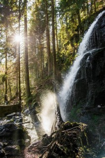 Zweribach Waterfalls, protected forest, St Märgen, Black Forest, Southern Black Forest,