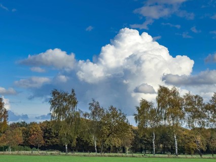 Large white cloud Cumulus against blue sky, birch alley and mixed forest down in front, Germany