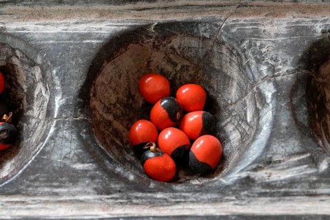 Traditional wooden game Pallankujhi, Pallamkuzhi, Pallangulli, Pallankulli or Alagulimane with red