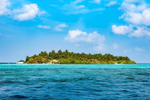 Symbolic picture dream island holiday island deserted island with palm trees coconut trees (Cocos