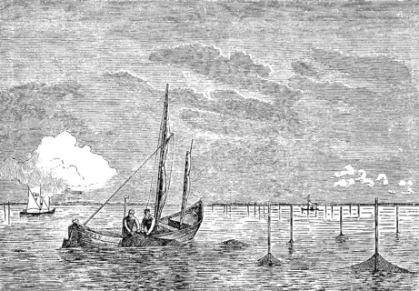 Fishermen collecting nets in East and West Prussia, fishing boats, fishing, profession, net