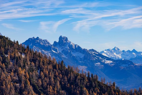 Trattberg Alm with view of the Dachstein massif with Bischofsmütze, Osterhorn Group, Salzkammergut,