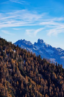 Trattberg Alm with view of the Dachstein massif with Bischofsmütze, Osterhorn Group, Salzkammergut,