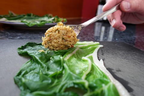 Swabian cuisine, preparing tree frogs, filling Swiss chard, teaspoon, cooking, cooking vegetables,
