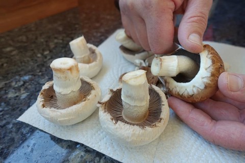 Southern German cuisine, preparing mushrooms, raw mushrooms, cleaning, cutting, kitchen knife,