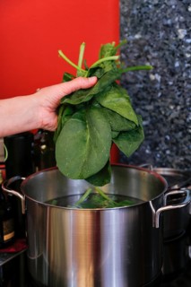 Southern German cuisine, preparing polenta spinach roulade, cooking spinach, vegetables, cooking