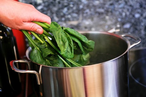 Southern German cuisine, preparing polenta spinach roulade, cooking spinach, vegetables, cooking