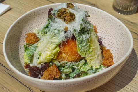 Baked burrata served on plate, breaded mozzarella, starter, vegetarian, salad hearts, green lettuce