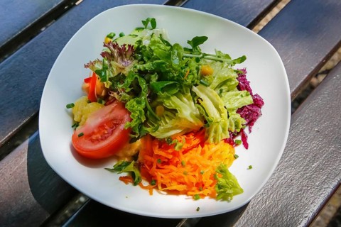 Small colorful salad, starter salad, tomato, grated carrot, green lettuce leaves, red cabbage,