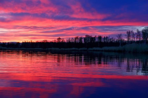 Colourful sunset with pink sky and trees reflecting in calm water, Peenetal nature park Park,