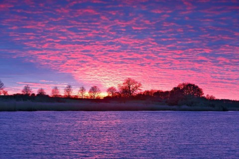 Intense sunset with pink clouds over a river, surrounded by trees, Peenetal nature park Park,
