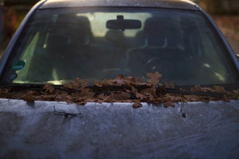 Windshield, car, vehicle, is full of leaves, autumn leaves, autumn, Stuttgart, Baden-Württemberg,