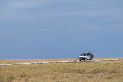 Safari car drives through steppe, Etosha National Park, Namibia