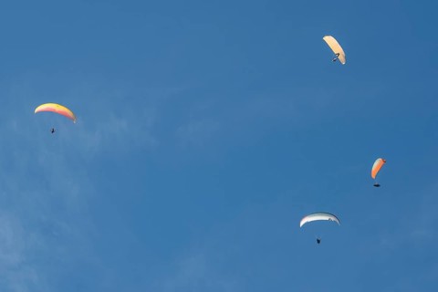 Paragliders in the sky over Brauneck, Bavarian Prealps, Isarwinkel, Lenggries, Upper Bavaria,