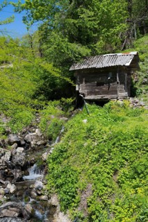 A small stream flows next to a wooden hut, which stands amidst lush green vegetation, old Adjarian
