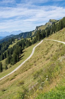 Wanderweg am Brauneck, Wegkreuzung, Bavarian Prealps, Isarwinkel, Lenggries, Upper Bavaria,