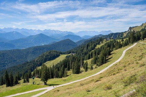 Wanderweg am Brauneck, Bavarian Prealps, Isarwinkel, Lenggries, Upper Bavaria, Bavaria, Germany