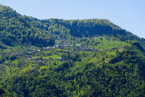 Mountain landscape with green meadows and forests, small villages scattered along the hills in a