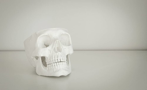 A white skull model is resting on a simple table surface in a bright, neutral room. The setting