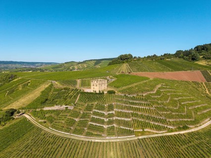 A stone house perches over terraced vineyards under a sunny sky, Y-Burg, Stetten im Remstal,