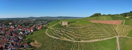 View of vineyards and a village in the hills with a central stone house, Y-Burg, Stetten im