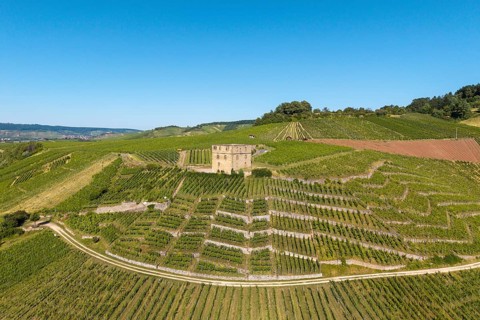 Vineyards spread around a central stone house surrounded by green nature, Y-Burg, Stetten im