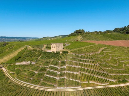 A stone house stands in terraced vineyards under clear skies, Y-Burg, Stetten im Remstal,