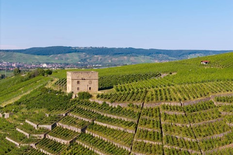Close-up of a building surrounded by green vineyard terraces, Y-Burg, Stetten im Remstal,