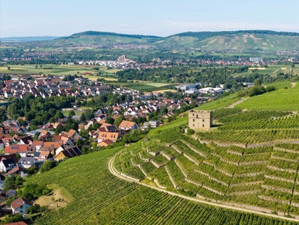 View of vineyards, a stone house and a village against a hilly backdrop, Y-Burg, Stetten im