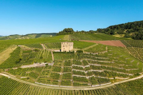 A stone house surrounded by sunny vineyards and green hills, Y-Burg, Stetten im Remstal,