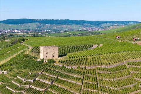 The stone house is surrounded by extensive vineyards in hilly surroundings, Y-Burg, Stetten im