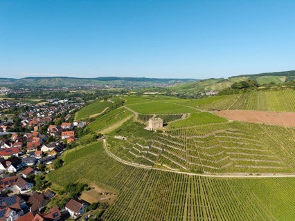 Large vineyards with a small building on a hill, Y-Burg, Stetten im Remstal, Baden-Württemberg,