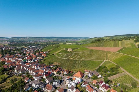 Aerial view of a village next to green vineyards under clear sky, Y-Burg, Stetten im Remstal,
