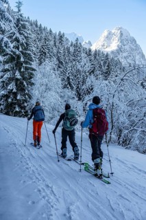 Ski tourers climbing to Längenfelderkopf, view of snow-covered forest and Waxenstein summit, in