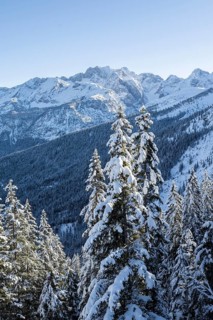 Snowy mountain landscape, ascent to Längenfelderkopf, view of Dreitorspitze, Wetterstein Mountains,