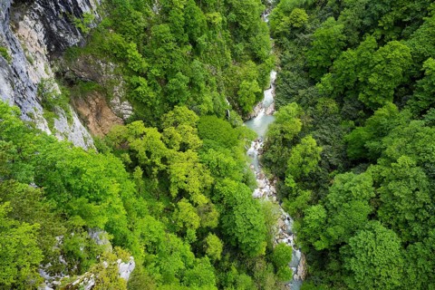 Small river flows through a lush green forest valley, Okatse River in Okatse Gorge, Canyon, Imereti