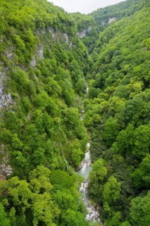 A river snakes through a green forest valley with rock walls, Okatse River in Okatse Gorge, Canyon,